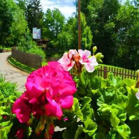 Lotus Hof Stallegg Apartament *