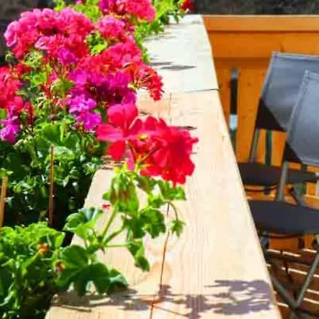 Lotus Hof Stallegg Apartament