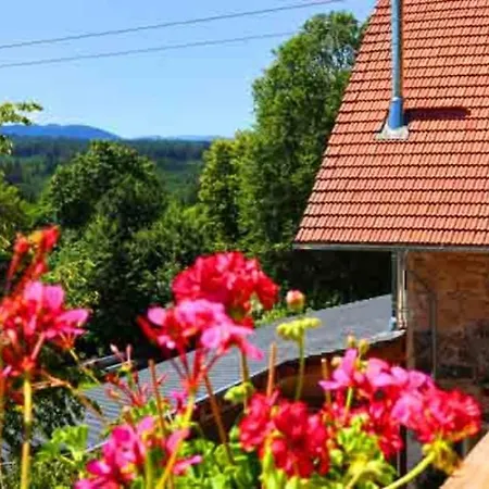 Apartament Lotus Hof Stallegg *