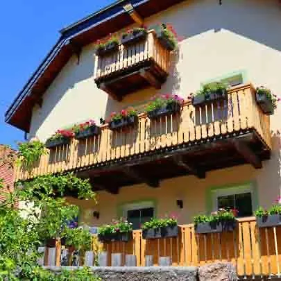 Lotus Hof Stallegg *