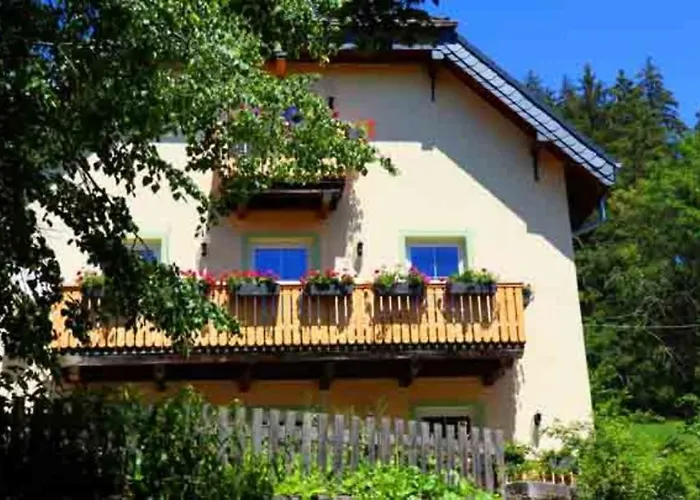 Lotus Hof Stallegg *