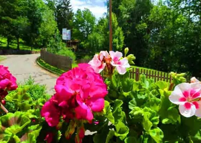 Lotus Hof Stallegg Appartement *