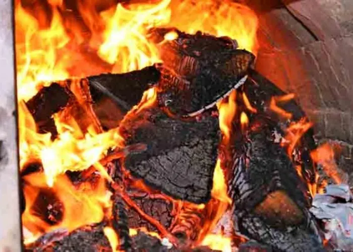 Lotus Hof Stallegg Löffingen