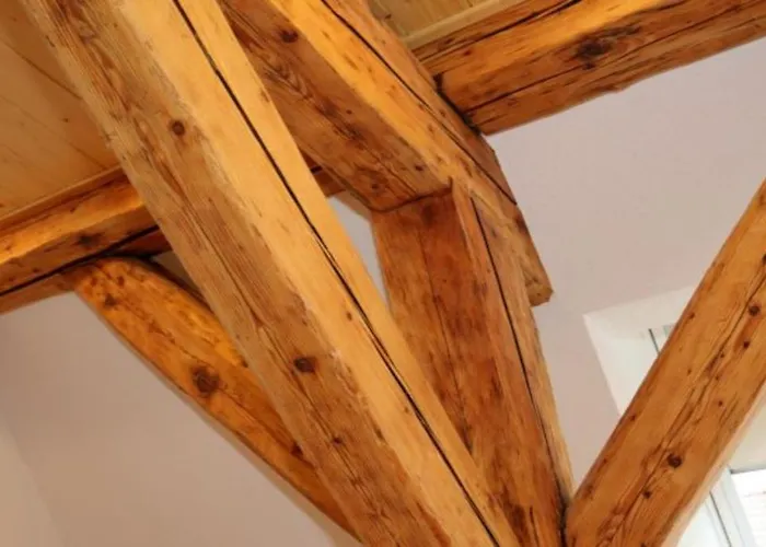 Appartement Lotus Hof Stallegg